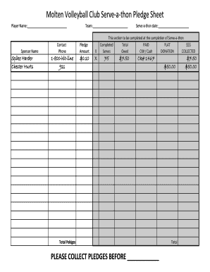 Volleyball Serve a Thon Pledge Sheet  Form