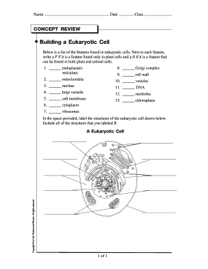 Building a Eukaryotic Cell Answer Key  Form