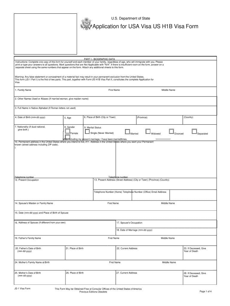 Form for Usa Form Visa