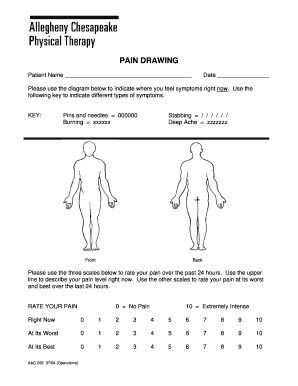 292 PAIN DRAWING 072004 Physical Therapy  Form