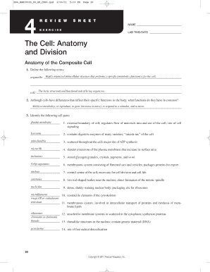 Exercise 4 the Cell Anatomy and Division  Form