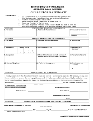 Guarantor Affidavit Format