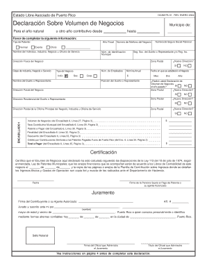 Declaracion Volumen De Negocio  Form