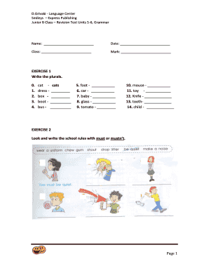 B Junior Tests PDF  Form