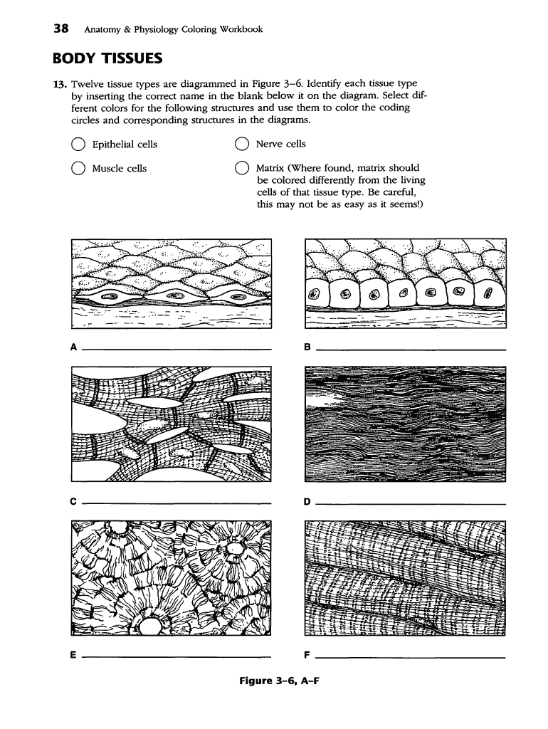 Quizlet  Form