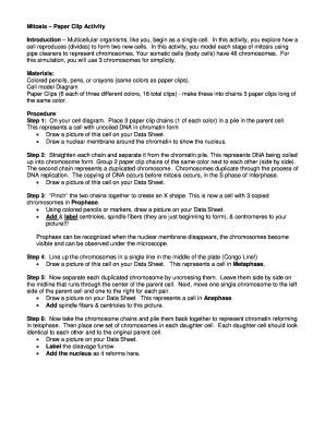 Mitosis Paper Clip Activity Introduction Biology by Napier  Form