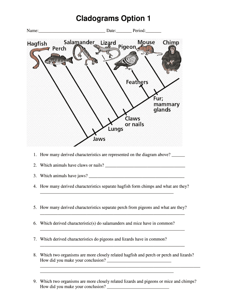 Interpreting and Constructing Cladograms PDF Answer Key  Form