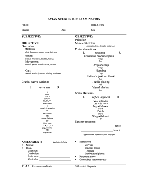 Neuro Exam Sample PDF  Form