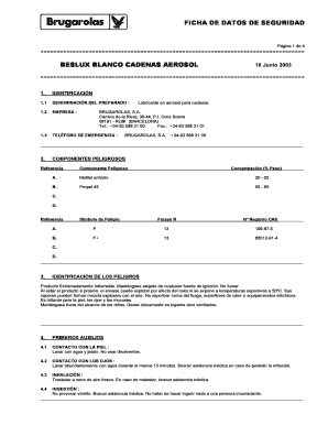 Ficha De Datos De Seguridad Beslux Blanco Cadenas Aerosol Beslux Neumaltda  Form