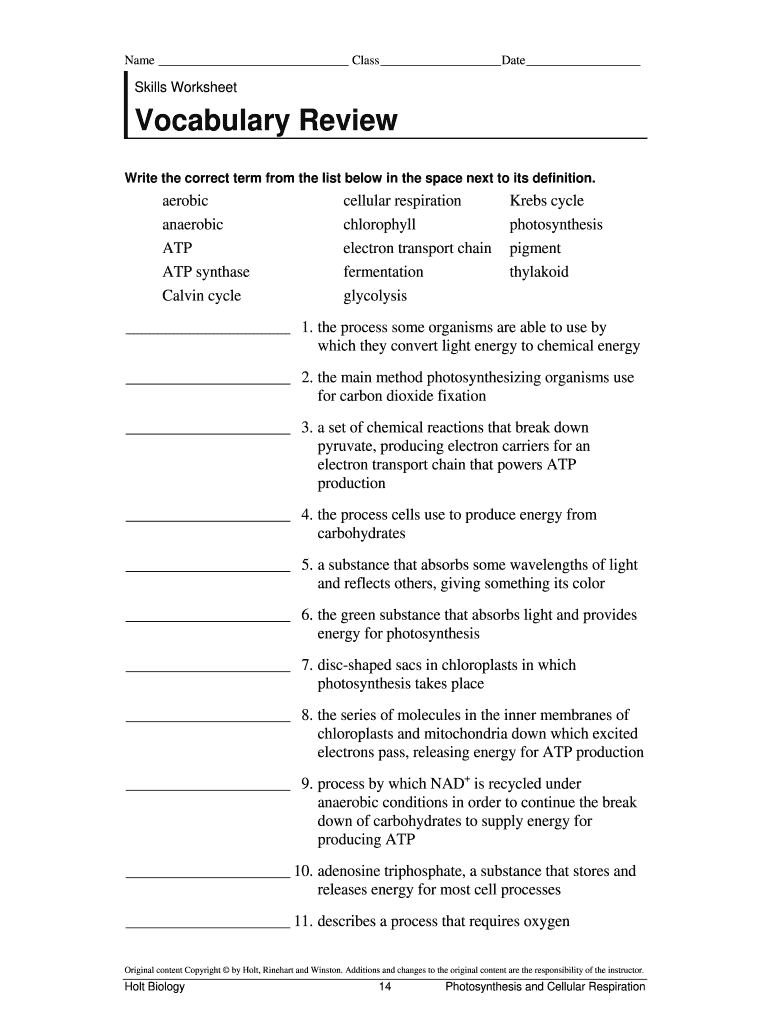 Skills Worksheet Cellular Respiration  Form