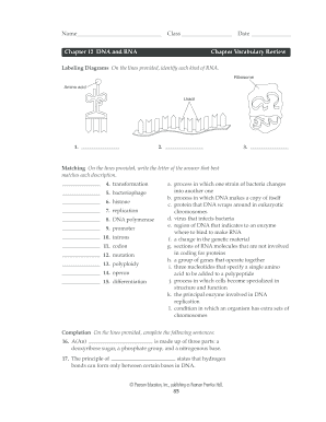 Chapter 12 Vocabulary Review Answer Key  Form
