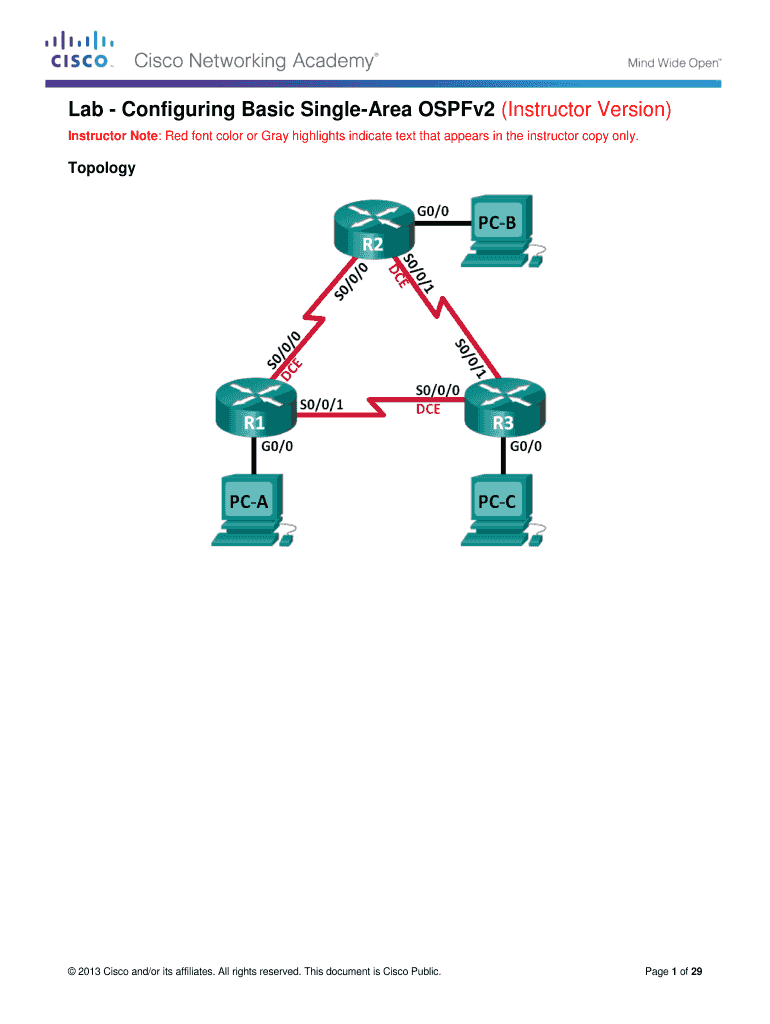 Configuring Basic Single Area Ospfv2  Form