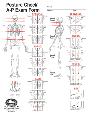Posture Assessment Documentation  Form