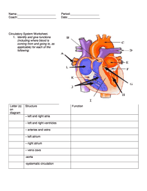 Heart Diagram Fill in the Blank  Form