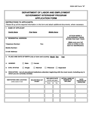 Gip Application Form