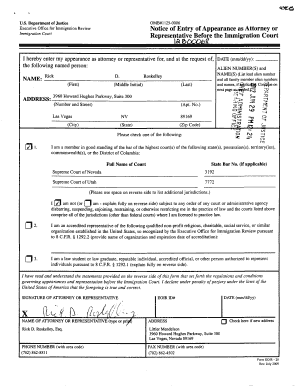 Sample Completed Eoir 29  Form