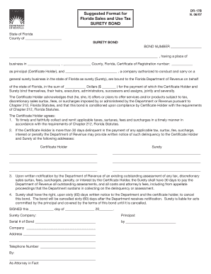  DR 17B Suggested Format for N 0607 Florida Sales and Use 2007