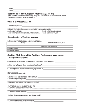 Kingdom Protista Worksheet Answer Key  Form