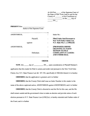 Court Order Template  Form