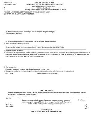 Hawaii Annual Report Form