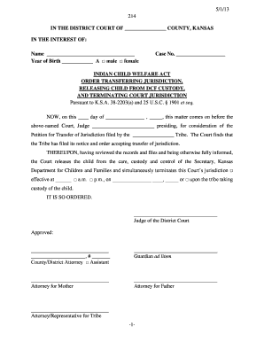  5113 214 in the DISTRICT COURT of COUNTY, KANSAS in the INTEREST of Name Year of Birth a Male Female Case No Kansasjudicialcounc 2013-2024