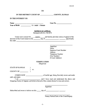  5113 200 in the DISTRICT COURT of COUNTY, KANSAS in the INTEREST of Name Year of Birth a Male Female Case No Kansasjudicialcounc 2013-2024