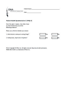 Patient Health Questionnaire 2 PHQ 2 over the Past 2  Form