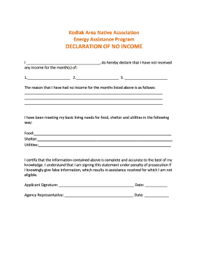 Statement of No Income  Form