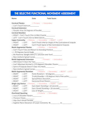 Selective Functional Movement Assessment PDF  Form