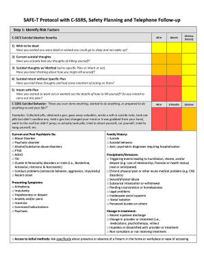 Safe T Assessment PDF  Form