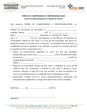 Termo De Compromisso E Responsabilidade  Form