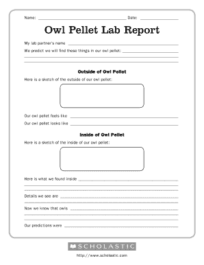 Scholastic Owl Pellet Lab Report  Form