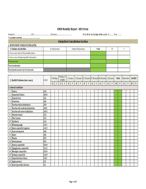 Hmis Monthly Report  Form