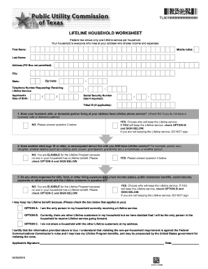 Lifeline Household Worksheet Online  Form