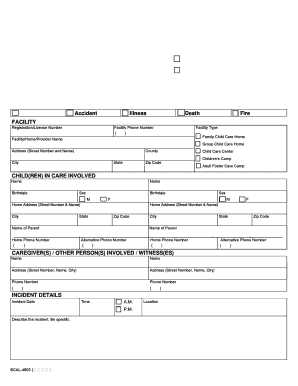  TYPE of REPORT Incident Accident Illness Death Michigan Michigan 2016