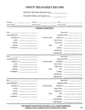 Na Treasurer Report Template  Form