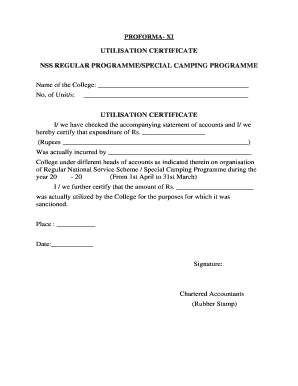 Nss Utilization Certificate Format