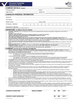 Mie Report Example  Form