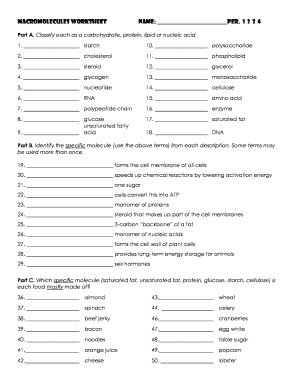 Macromolecules Worksheet PDF  Form