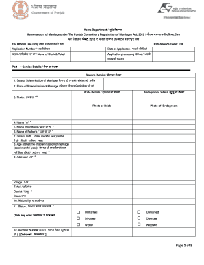 Marriage Certificate Punjab PDF  Form