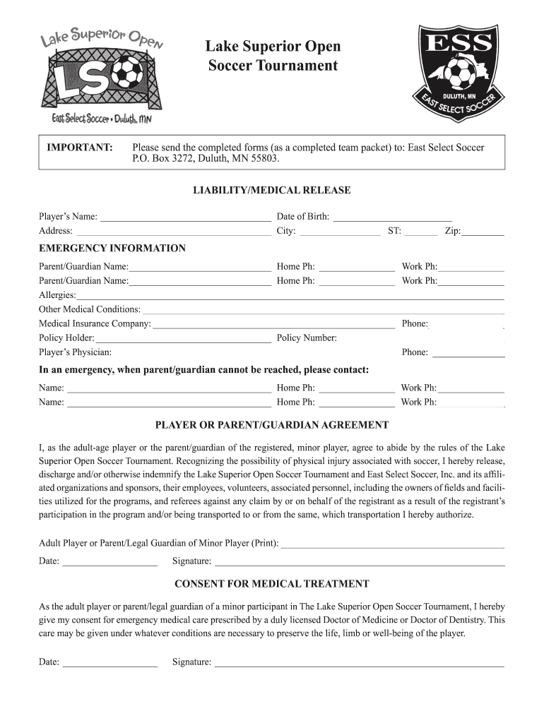Get and Sign Lake Superior Open Soccer  Form