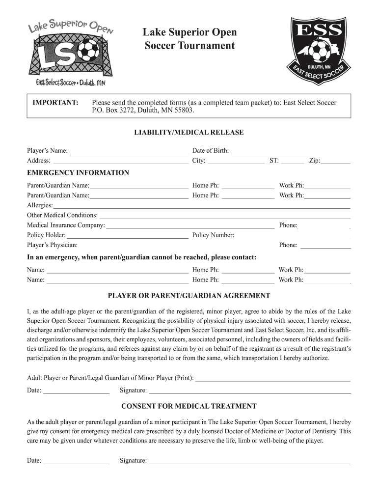 Lake Superior Open Soccer  Form