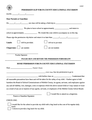 Excursion Form Template