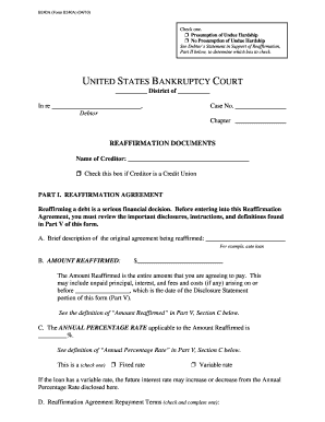 Bankruptcy Form B240a