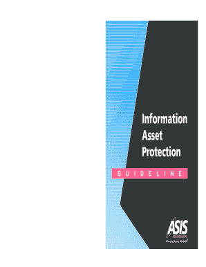 Information Asset Protection IAP Guideline the ICOR Theicor
