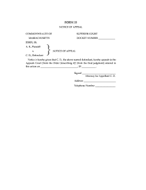 Sample Notice of Appeal Massachusetts  Form