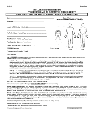  Ihsa Wrestling Skin Form 2012-2024