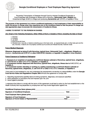 Georgia Conditional Employee Reporting Agreement  Form