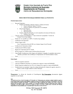 Patente Municipal Guaynabo  Form