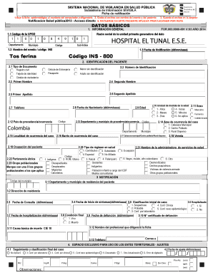 Ficha Datos Basicos  Form